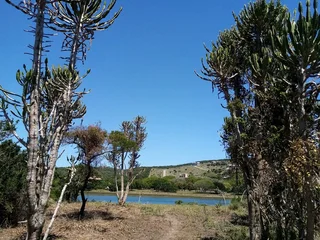 Build 4 Studio Apartments on  River, Port Alfred