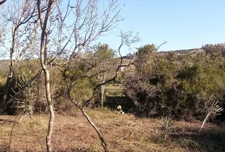 Build 4 Studio Apartments on  River, Port Alfred