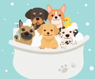 Female Driver/ Groomer needed for Mobile Pet Grooming