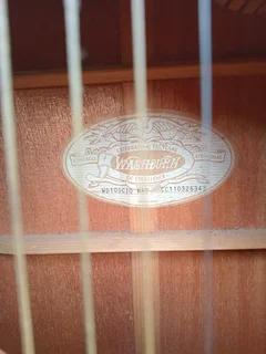 Washburn guitar