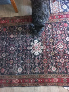 Vintage Persian carpet