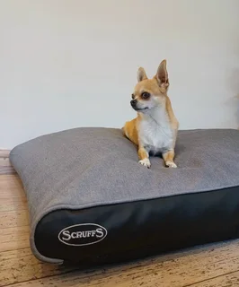Scruffs Hilton Orthopedic Pet Mattress
