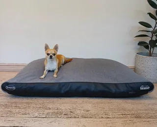 Scruffs Hilton Orthopedic Pet Mattress