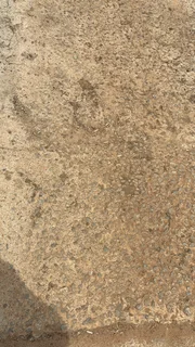 Bachelor / Studio / En-suite/ Flat share