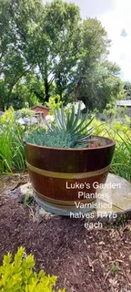 Half Barrel Garden Planters from R400 each