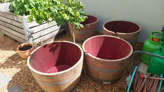 Half Barrel Garden Planters from R400 each