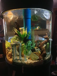 Round cylinder fish tank