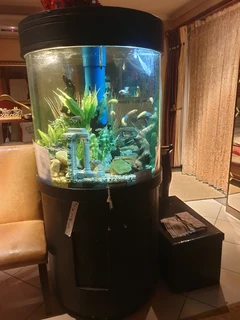 Round cylinder fish tank