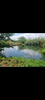 Farm to let in pretoria west