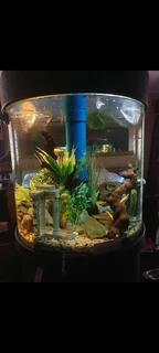 Round cylinder fish tank
