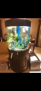 Round cylinder fish tank