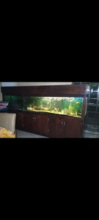 Fish tank - and cabinit - 3m