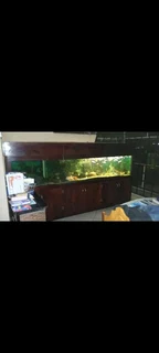 Fish tank - and cabinit - 3m
