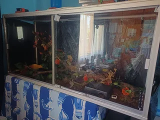 Reptile enclosure