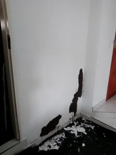 Painter on Call and the Handy Crew