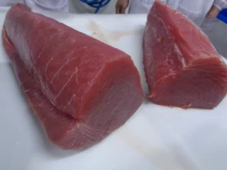 FRESH SEAFOOD - same day caught / same day delivery