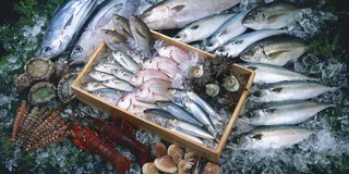 FRESH SEAFOOD - WHOLESALE OR ORDERS