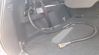 New Prado 250 Brad harrison plug