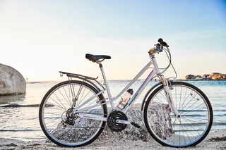 Schwinn Bicycles in various sizes