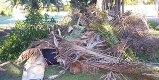 REMOVE IT! Garden refuse removal, garage cleanout