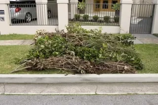 REMOVE IT! Garage cleanout, garden refuse removal