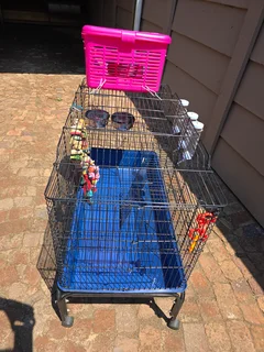 Critter Cage for Sale