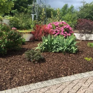 Fresh Bark Mulch available from Stone and Bark, we sell it in cubes and bags-Call 021-5552782