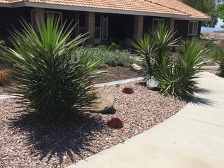 Stone and Bark have tons of 19mm Worcester stone available, ready for delivery. Call 021-5552782