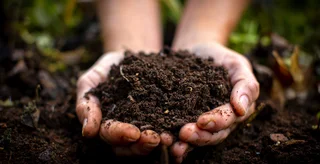 Fresh Bark Mulch and Compost, Lawn Dressing, Topsoil and Potting Soil available. Call 021-5552782