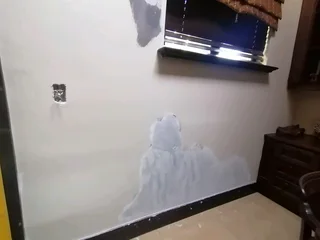 Waterproofing Solutions