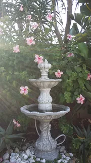fountain - Ad posted by wayne_r