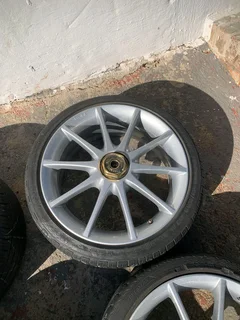 17&#34; Toro Mags