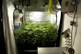 Grow Tents - Complete Set up