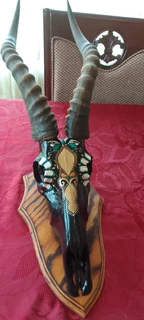 Stunning New Blesbok Head Decor for sale