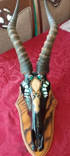 Stunning New Blesbok Head Decor for sale