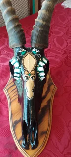 Stunning Blesbok Head Decor for Sale