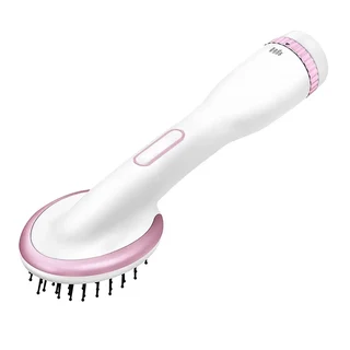 Hot Air Hair Dryer and Styler