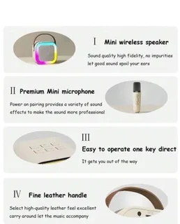 Multi-Colour RGB Light Karaoke Speaker And Mic System