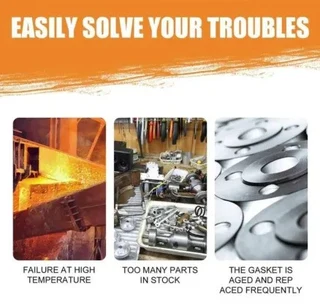 Rayhong Reinzosil Sealant