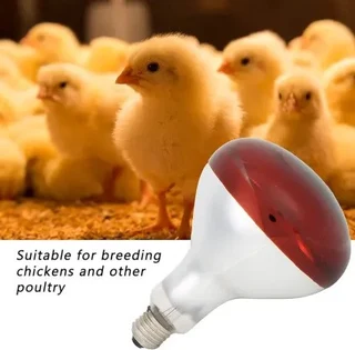 Animalamp Infrared Bulb
