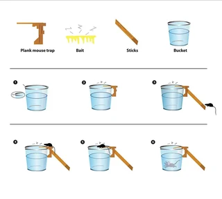 Automatic Reset Mouse Trap
