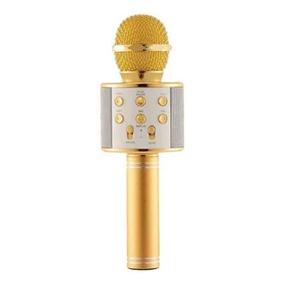 Wireless Karaoke Speaker Mic