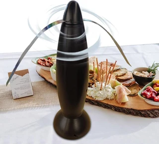 Mosquito And Fly Repellant Fan