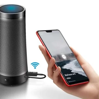 3 in 1 Wireless Audio Reciever