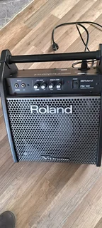 Roland PM 100 amp for e drums