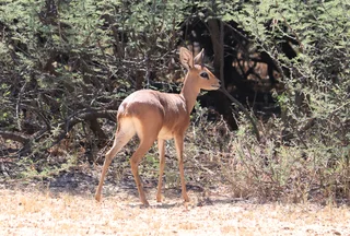 Video and Photography services