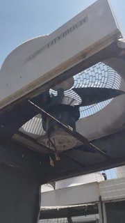 Extractor cooling fans