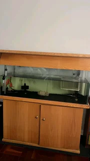 4ft tank for sale