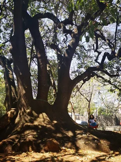 Medical Suties To Let in Dunkeld