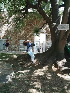 Medical Suties To Let in Dunkeld